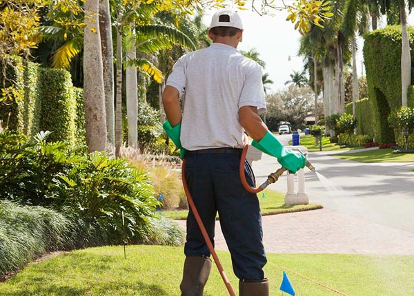 About Oil City LA Pest Control